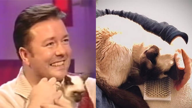 Ricky Gervais was gifted Ollie by Jonathan Ross in 2003