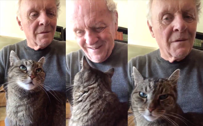 Sir Anthony Hopkins playing piano for his cat Niblo
