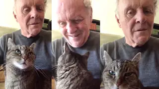 Sir Anthony Hopkins playing piano for his cat Niblo