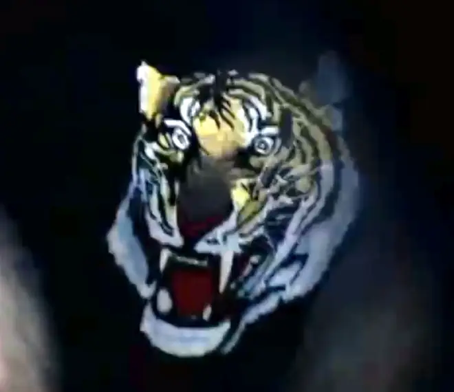 A close-up of the tiger briefs worn by Robbie Williams in 'Rock DJ'