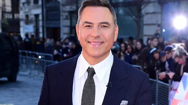 David Walliams' career also includes books and TV
