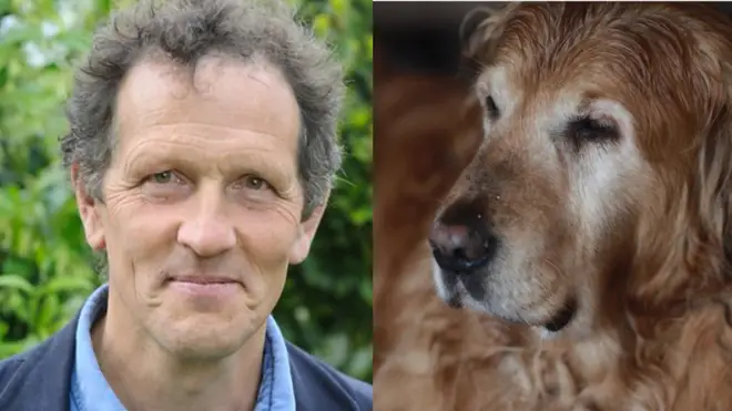 Monty Don's beloved dog Nigel has passed away