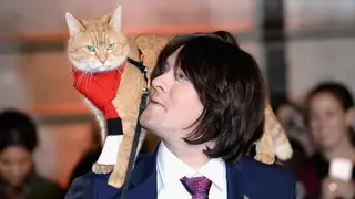 James Bowen and the stray cat became "inseparable"