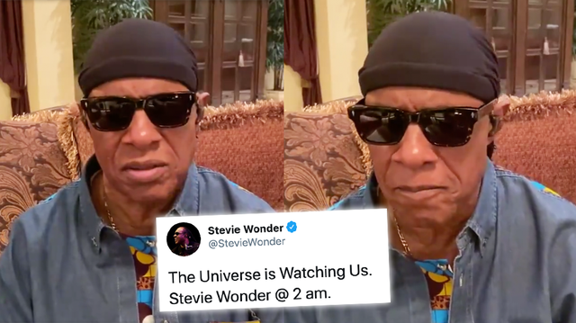 Stevie Wonder shares Black Lives Matter video and asks people to vote in upcoming elections