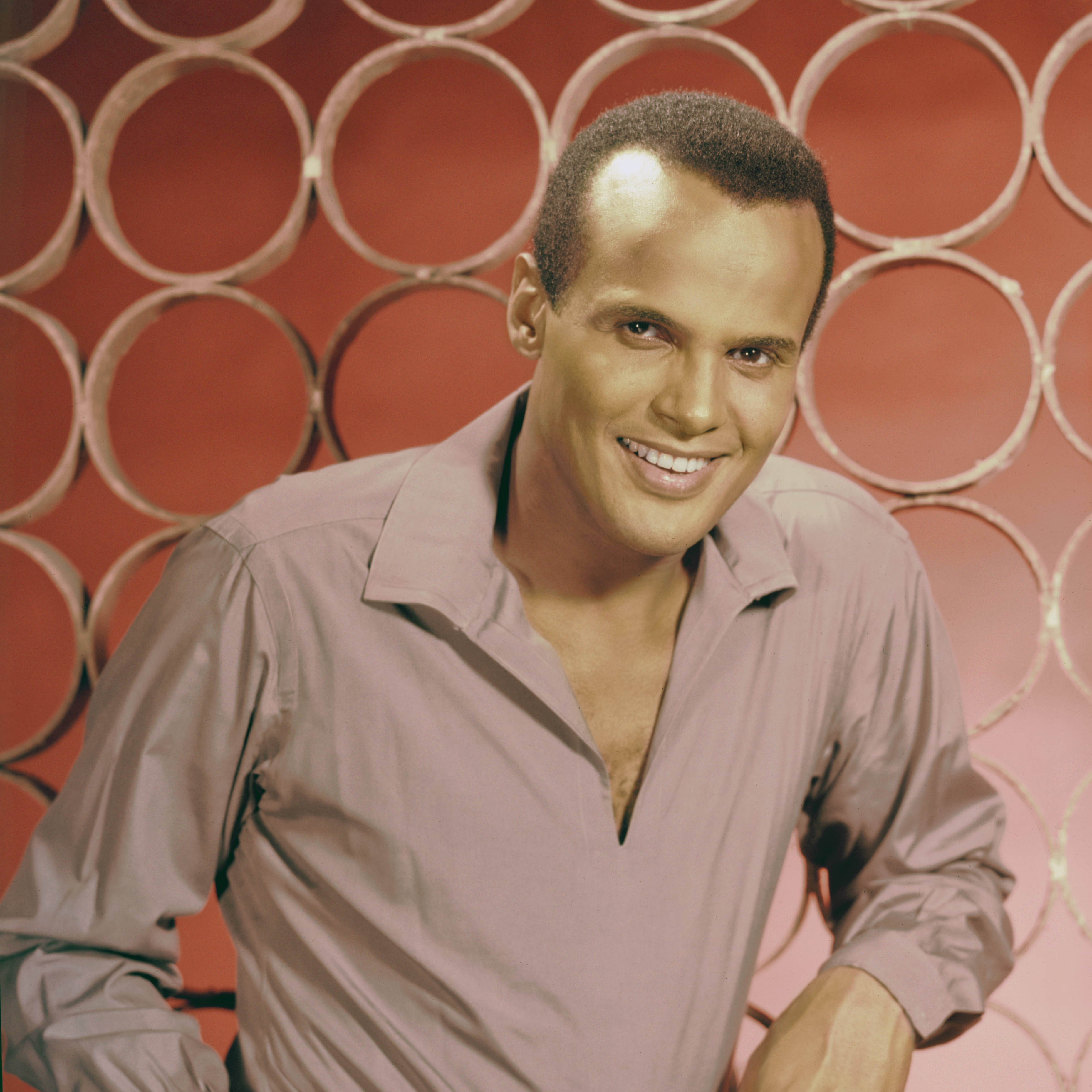 Harry Belafonte facts: Calypso singer's age, wife, children and songs  revealed - Smooth