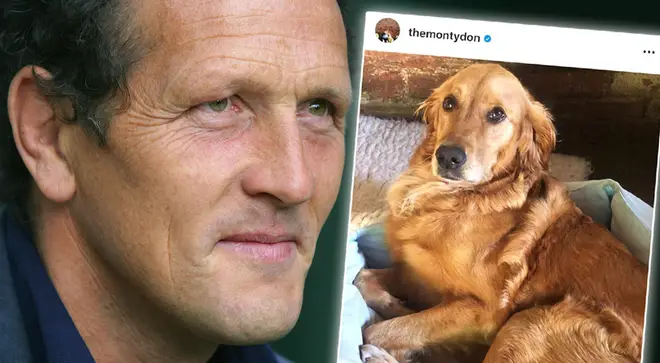 Monty Don's dog Nellie has a 'very near miss' in freak accident while chasing stick