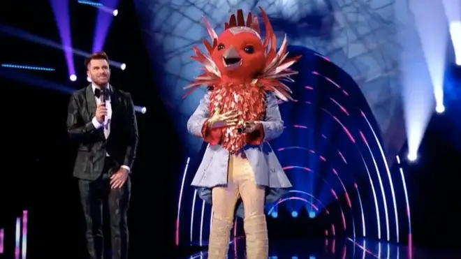 The Masked Singer UK: Who is Robin? Clues and theories for series 2