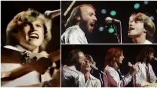 The Bee Gees were in the midst of their Spirits Having Flown tour when they welcomed their younger brother Andy on stage for a rendition of 'You Should Be Dancing'.