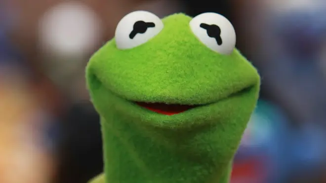 Kermit the Frog as he looked in 2008