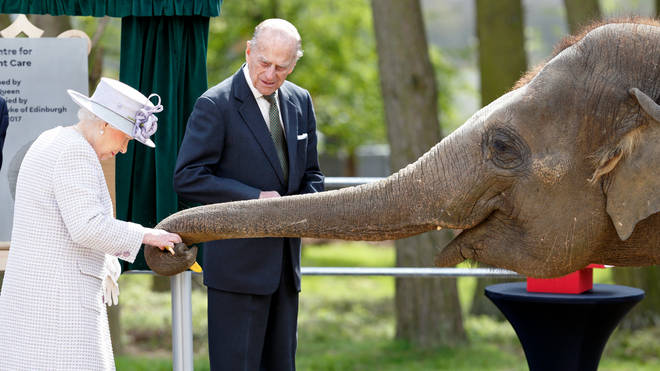 Queen Elizabeth II and Prince Philip, Duke of Edinburgh feed bananas to Donna, a 7 year old Asian Elephant, as they open the new Centre for Elephant Care at ZSL Whipsnade Zoo on April 11, 2017.