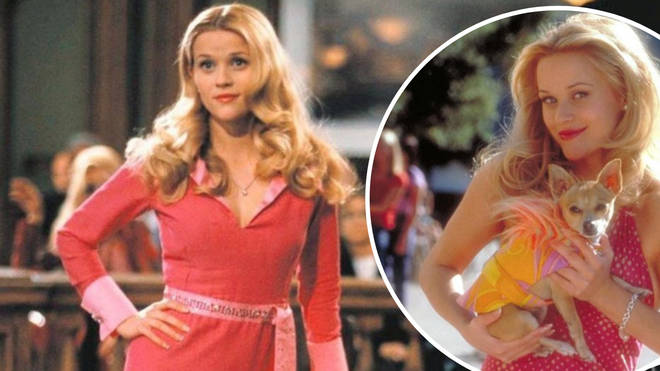 Legally Blonde 3: UK release date, cast and what we know so far...