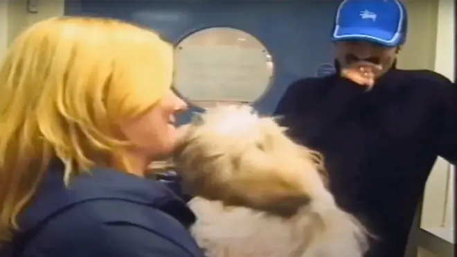 The 'Careless Whisper' singer frequently shared clips of his four-legged friends to social media, and fans might well remember his adorable yellow Labradors Meggy and Abby.