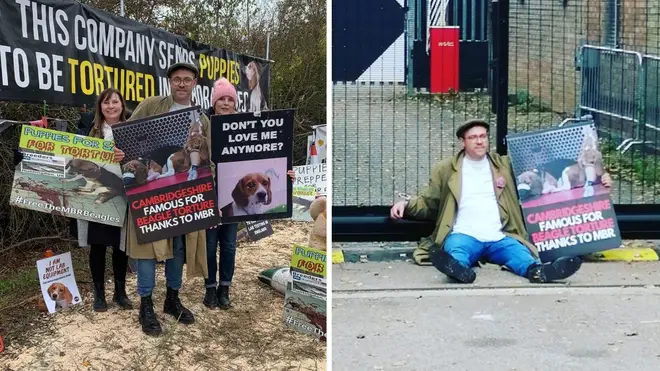 Will Young joined Camp Beagle protestors and handcuffed himself to dog-breeding centre gates