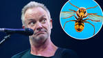 Sting reveals the origin of his stage name – even though it started as a joke