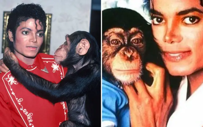 Michael Jackson's friendship with his pet chimpanzee Bubbles definitely raised a few eyebrows.