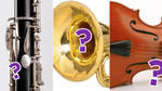 Can you name these musical instruments?