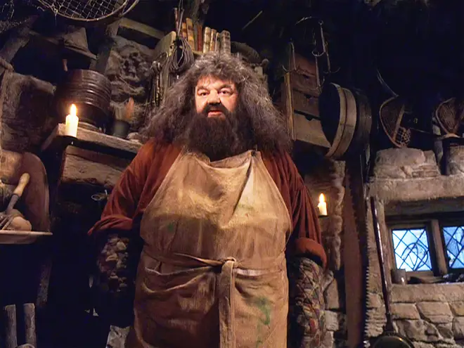 Robbie Coltrane as Hagrid in Harry Potter and the Philosopher's Stone