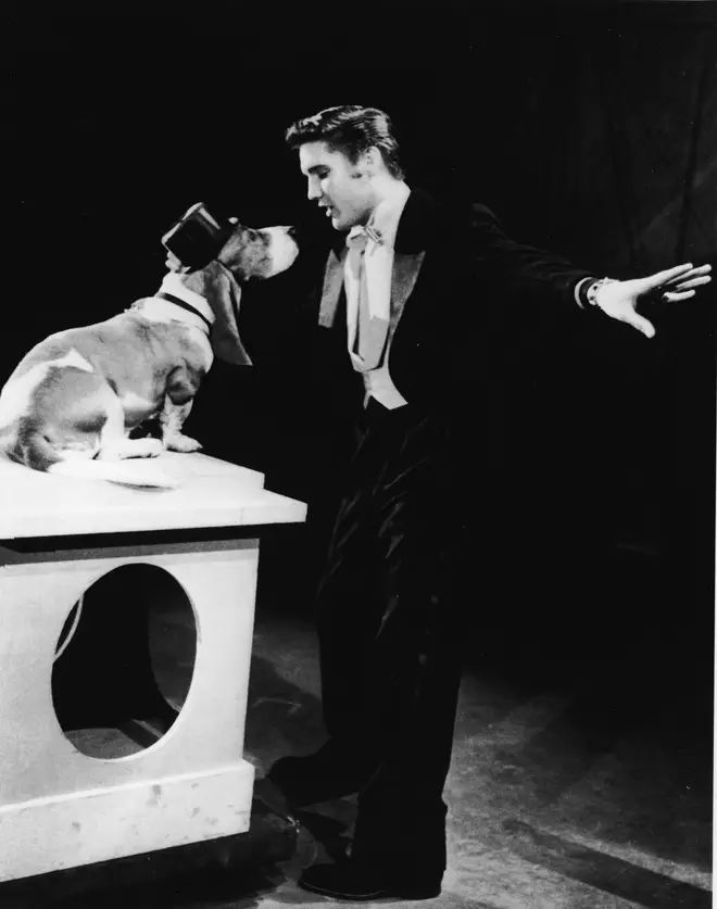 Elvis Presley Sings 'Hound Dog' To Hound Dog