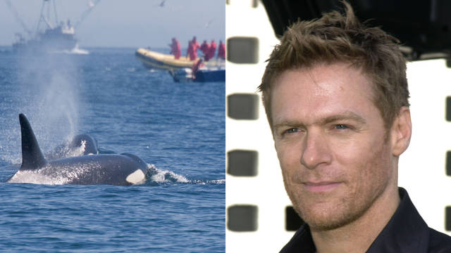 Bryan Adams used his body as a human shield to protect whale