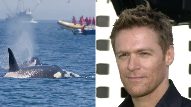 Bryan Adams used his body as a human shield to a protect whale