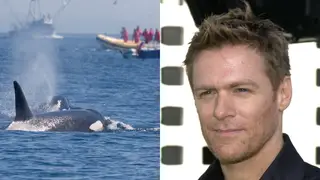 Bryan Adams used his body as a human shield to protect whale