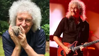 Brian May campaigns to save hedgehogs across the UK