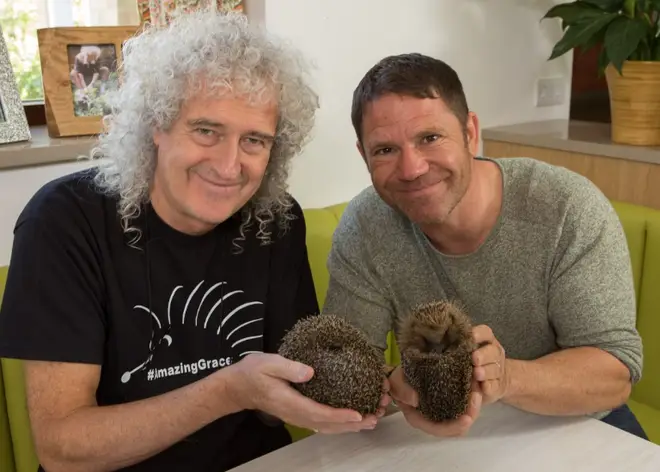 Brian May and Steve Backshall appear in Channel 5's Saving Britain's Hedgehogs