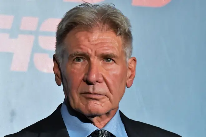 Harrison Ford is an American cultural icon.