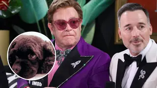 Elton John, David Furnish and their dog Marilyn