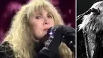 Stevie Nicks pays emotional tribute to her "best friend" in her first concert since Christine McVie passed away.