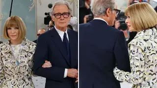 Bill Nighy and Anna Wintour arrived together at the Met Gala.