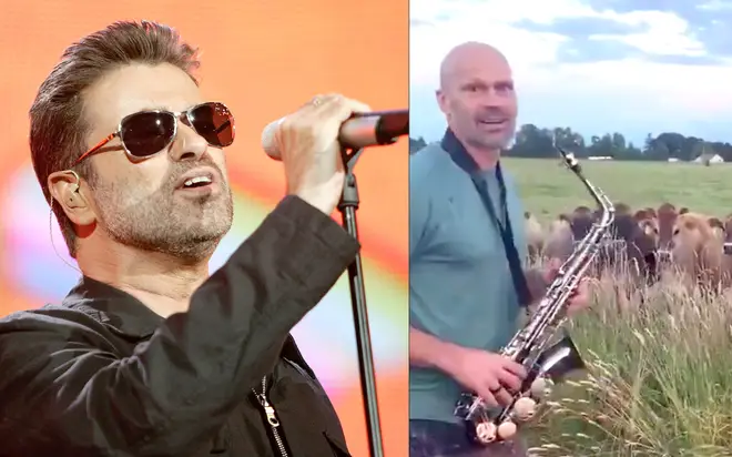 George Michael's Careless Whisper stuns herd of cows after saxophone tribute