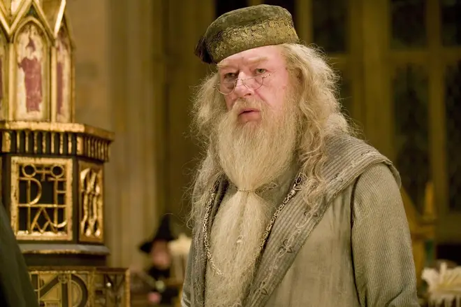 Michael Gambon as Dumbledore