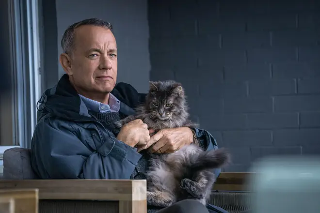 A Man Called Otto  Tom Hanks & cat