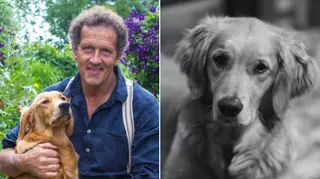 Monty Don has revealed his beloved Golden Retriever Nell has died of cancer - three years after losing his dog Nigel.
