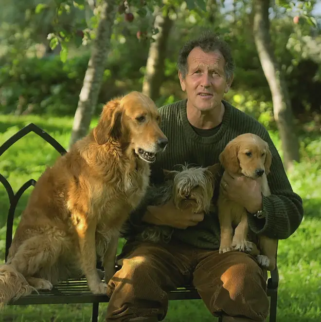 Don, who is known regularly sharing screen time with his beloved dogs, shared the sad news on Saturday (October 21), and thanked his followers for their support in a new post this morning.