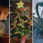 Snapper: The Perfect Tree | John Lewis & Partners | Christmas Ad 2023