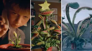 Snapper: The Perfect Tree | John Lewis & Partners | Christmas Ad 2023