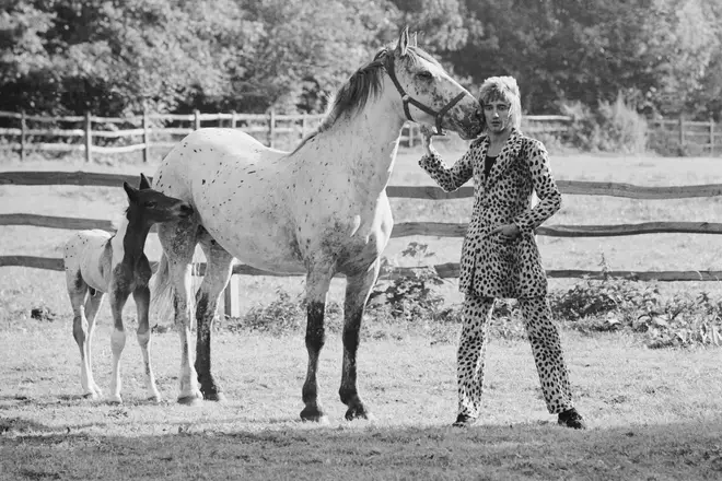 Rod Stewart posing in a leopard skin suit with a horse and foal at his home in Old Windsor, 1971